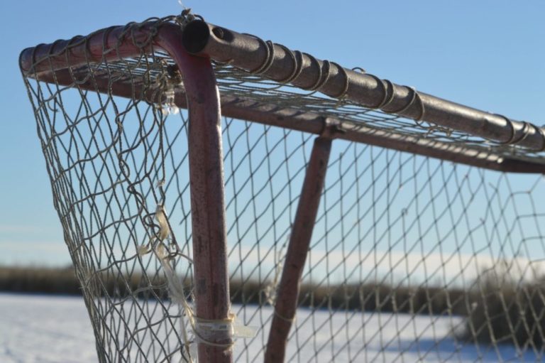 hockey net