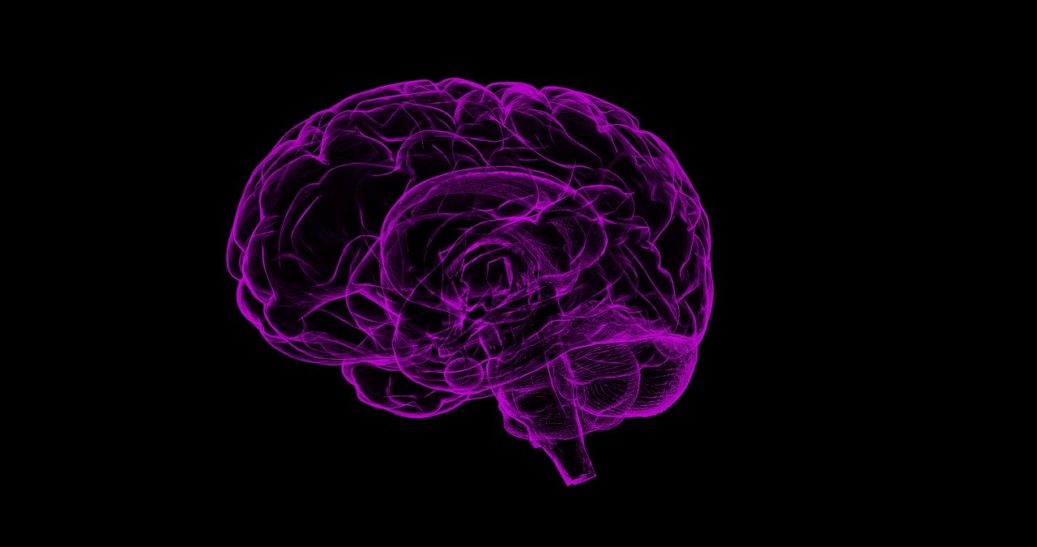 purple brain network