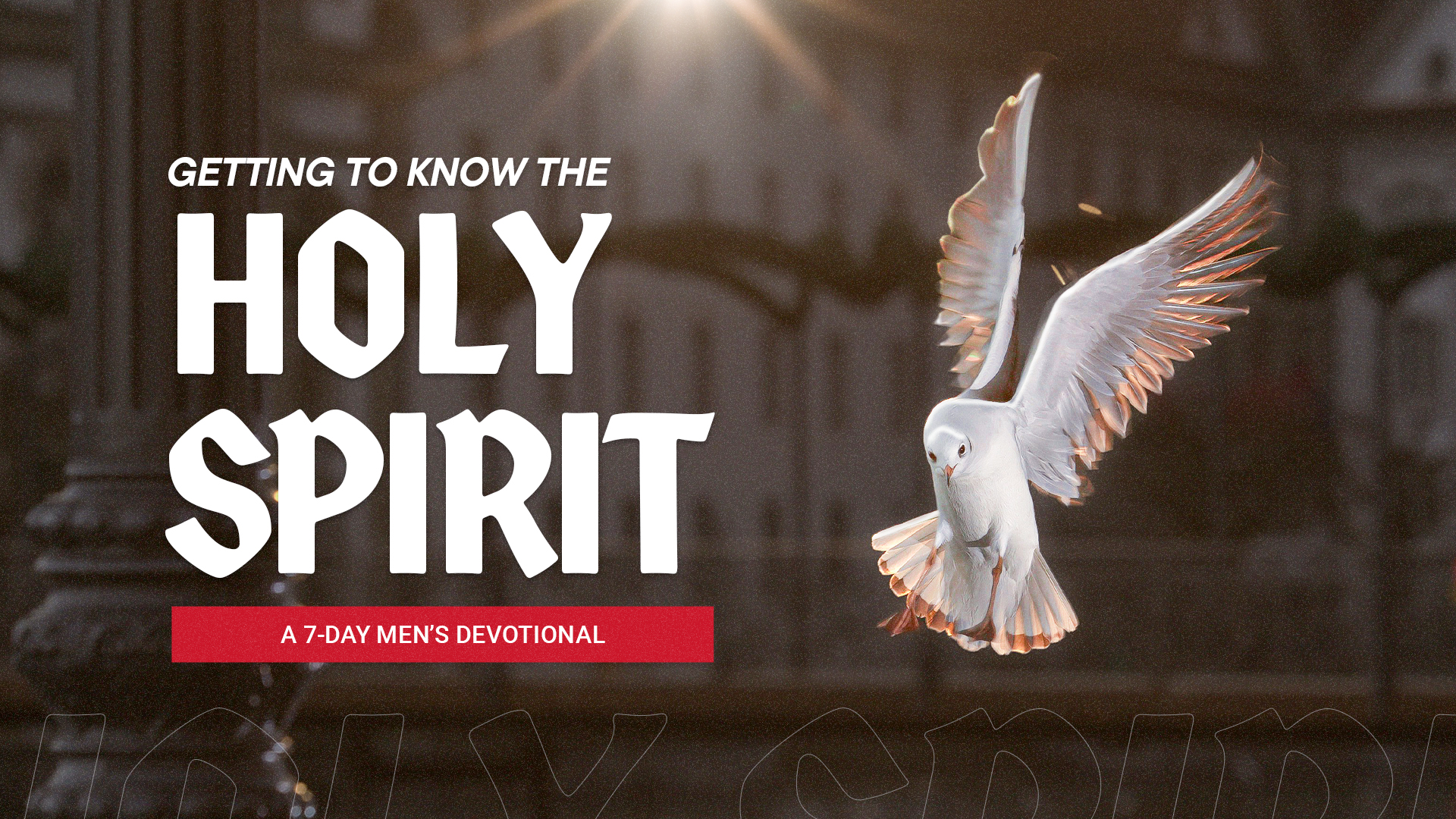 Featured image for “The Gifts of the Spirit”