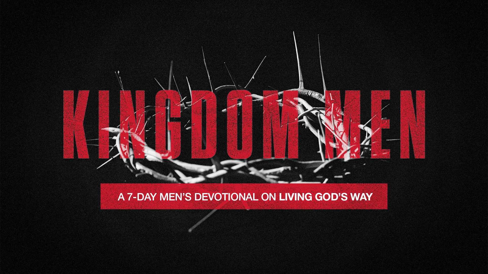 Featured image for “Kingdom Community”