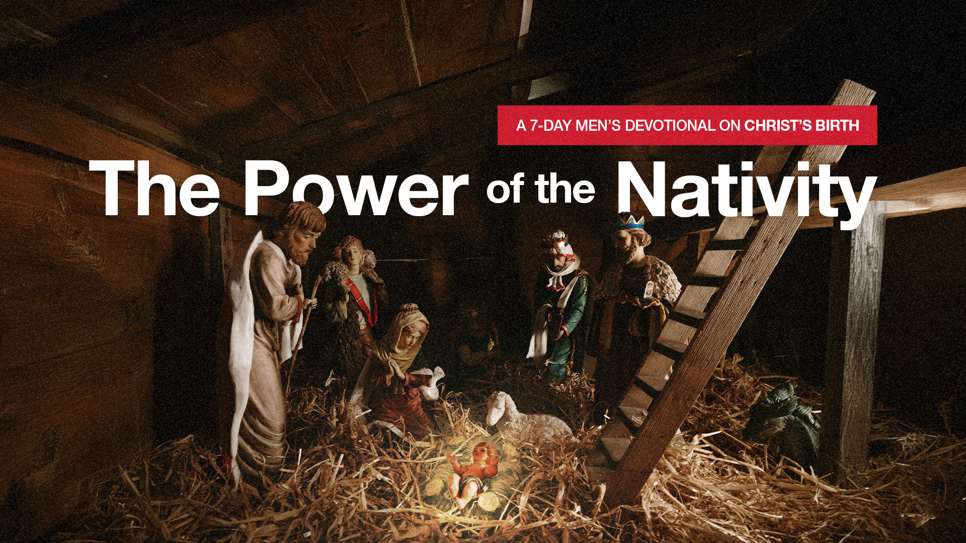 Featured image for “The Anticipation”