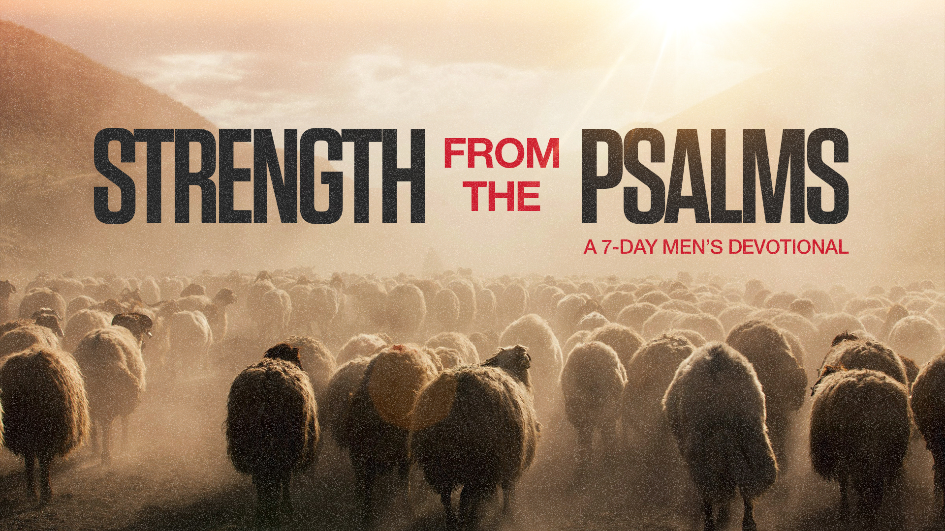 Featured image for “A Blueprint for Thriving”