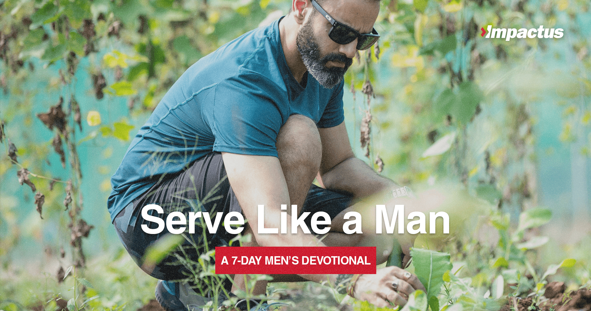 Featured image for “Finding the Jesus Way”